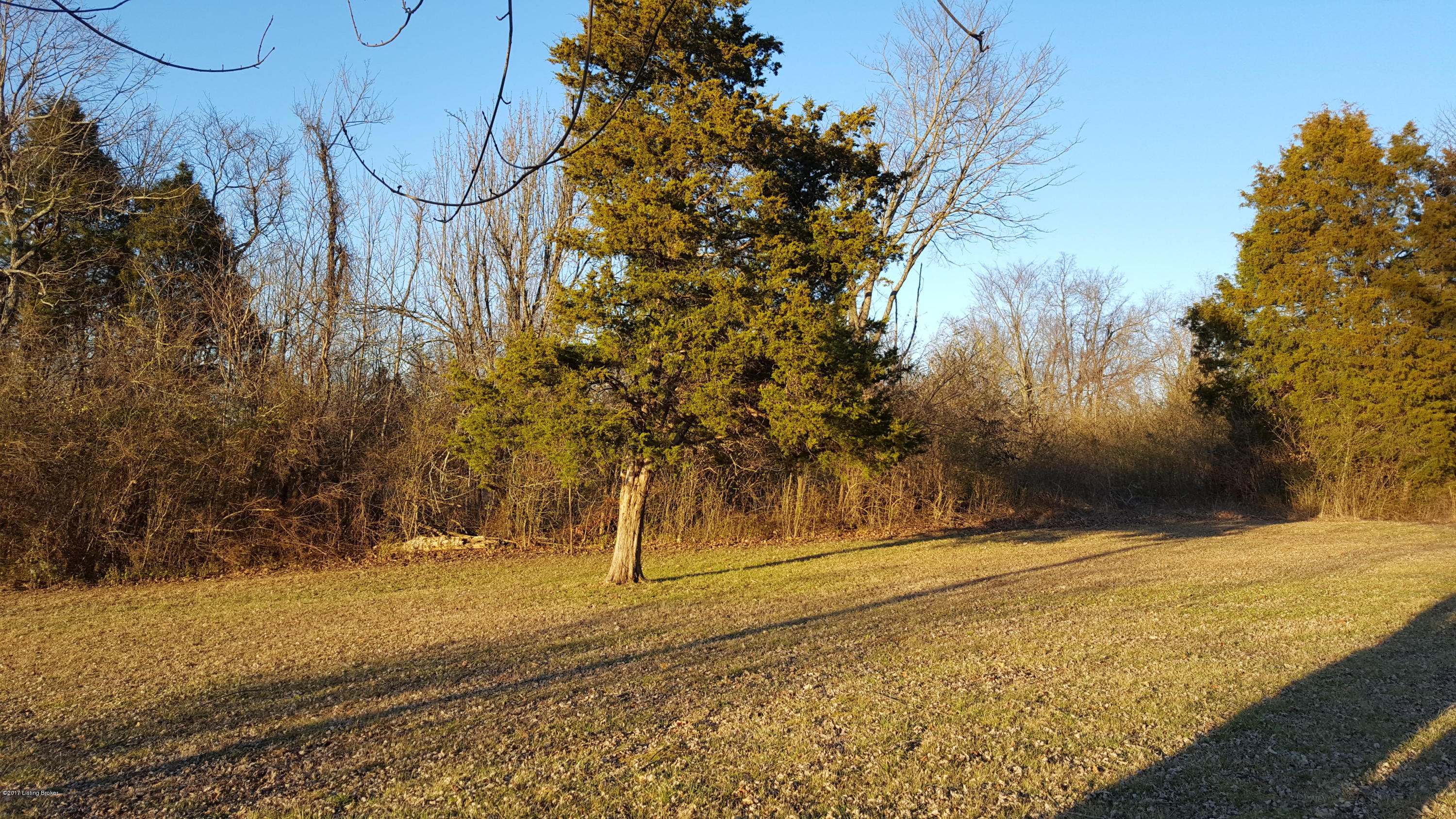 8592 Falls Of Rough Road Falls Of Rough, KY 40119 - Photo 5 of 17 5