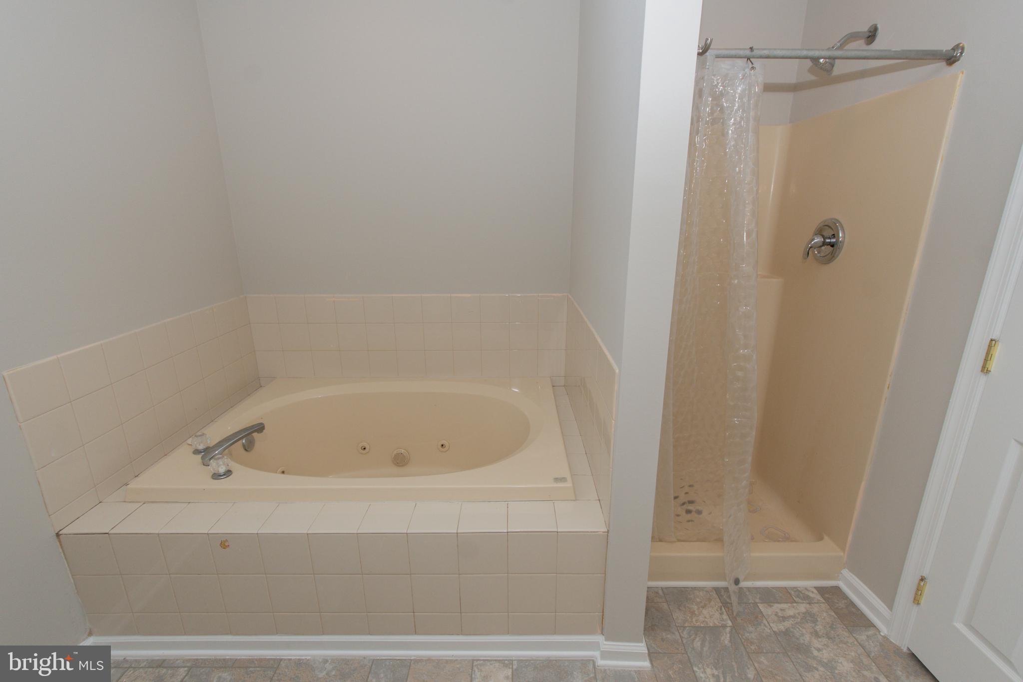495 Harrington Road Rising Sun, MD 21911 - Photo 36 of 64 Whirlpool bath & separate Shower