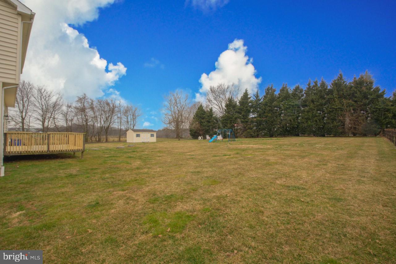 495 Harrington Road Rising Sun, MD 21911 - Photo 5 of 64 Large level backyard that backs to row of trees!