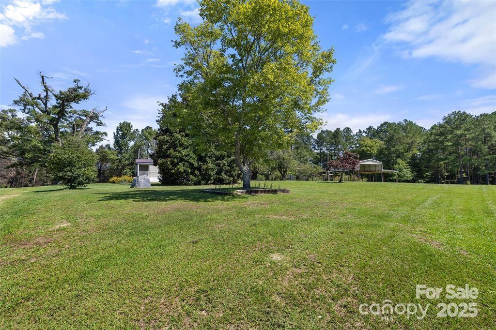 3478 Cool Branch Road Carlisle, SC 29031 - Photo 21 of 23 a view of a field with trees