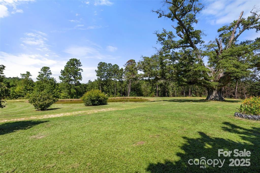 3478 Cool Branch Road Carlisle, SC 29031 - Photo 3 of 23 a view of a field with trees in the background