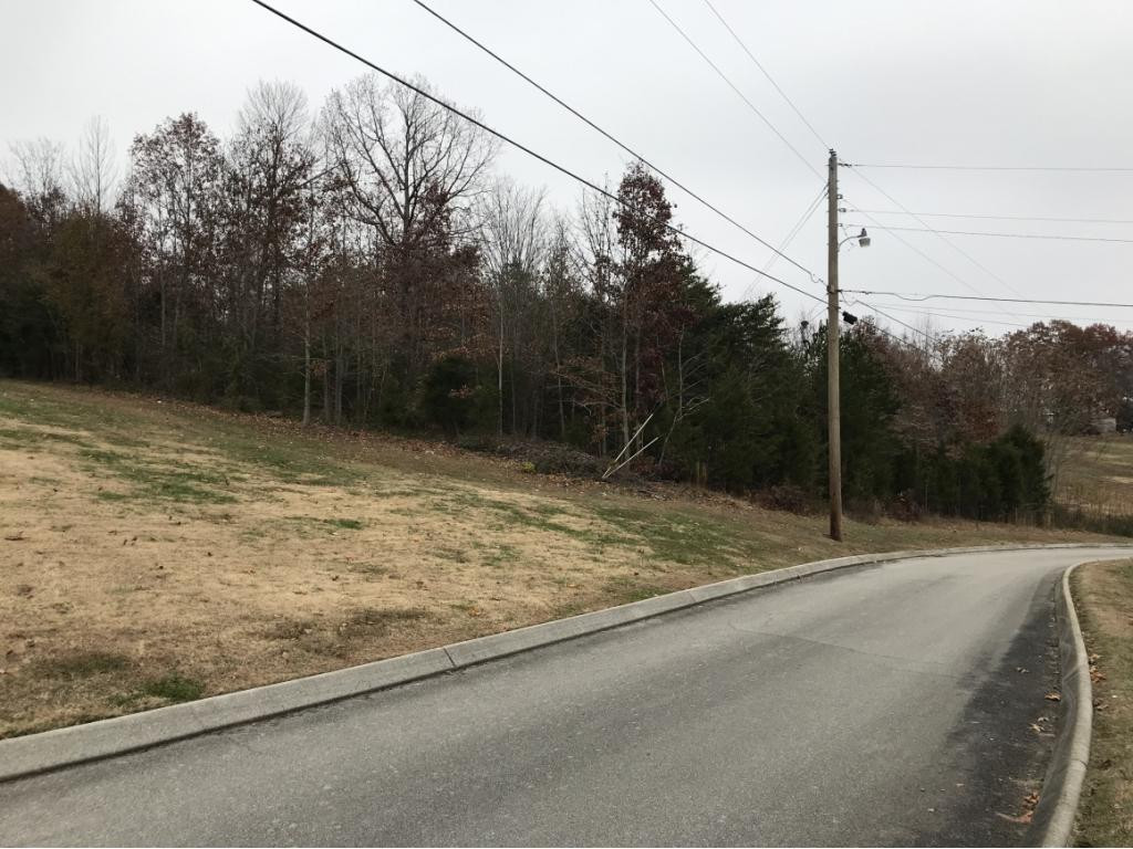 Lot 137 Baye Road, Unit 137 Rutledge, TN 37861 - Photo 1 of 25 LOT 137 BAYE RD MALLARD BAYE