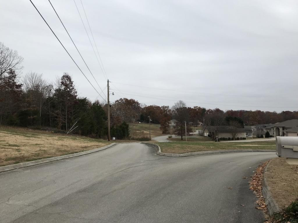 Lot 137 Baye Road, Unit 137 Rutledge, TN 37861 - Photo 12 of 25 BAYE RD AND LOT 137 LEFT