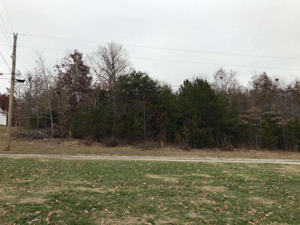 Lot 137 Baye Road, Unit 137 Rutledge, TN 37861 - Photo 13 of 25 LOT 137 FRONTAGE