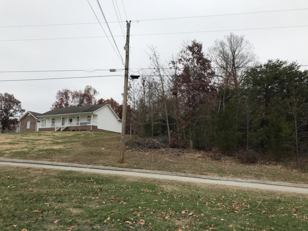 Lot 137 Baye Road, Unit 137 Rutledge, TN 37861 - Photo 14 of 25 LOT 137 RIGHT NEIGHBOR LEFT
