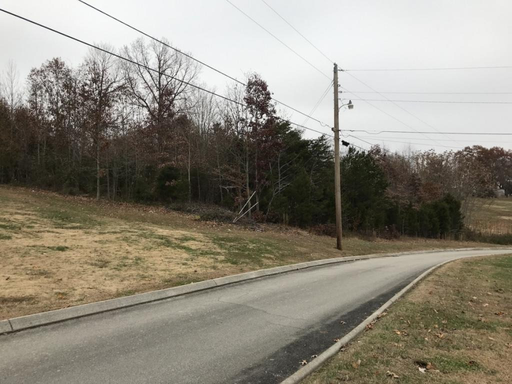 Lot 137 Baye Road, Unit 137 Rutledge, TN 37861 - Photo 16 of 25 BAYE ROAD AND LOT