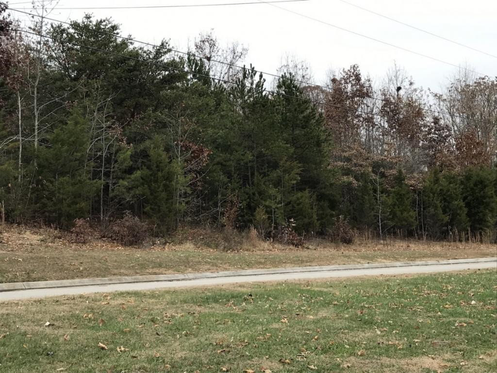 Lot 137 Baye Road, Unit 137 Rutledge, TN 37861 - Photo 20 of 25 LOT 137 BAYE ROAD