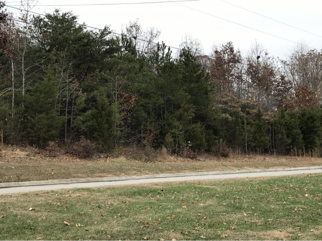 Lot 137 Baye Road, Unit 137 Rutledge, TN 37861 - Photo 2 of 25 LOT 137 BAYE ROAD 111 ACRE