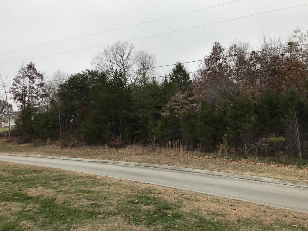 Lot 137 Baye Road, Unit 137 Rutledge, TN 37861 - Photo 6 of 25 LOT 137 FROM SOUTHSIDE