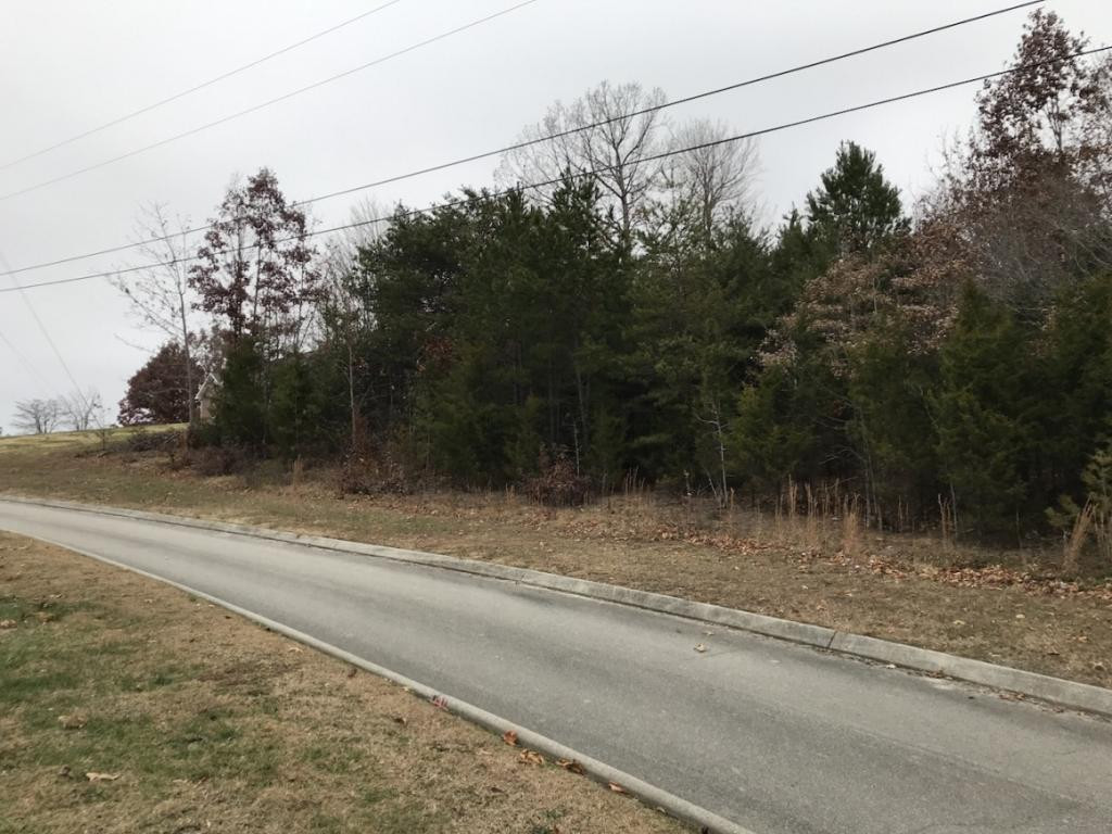 Lot 137 Baye Road, Unit 137 Rutledge, TN 37861 - Photo 7 of 25 LOT 137 SOUTHSIDE