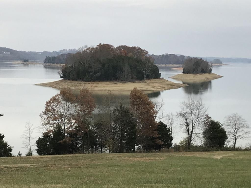 Lot 137 Baye Road, Unit 137 Rutledge, TN 37861 - Photo 10 of 25 Photo 10