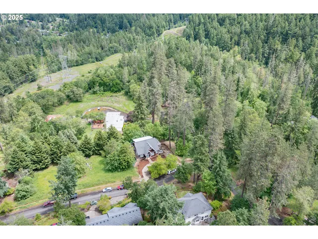 a view of a forest with a street