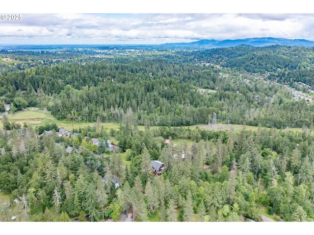 a view of a lush green forest with lush green forest
