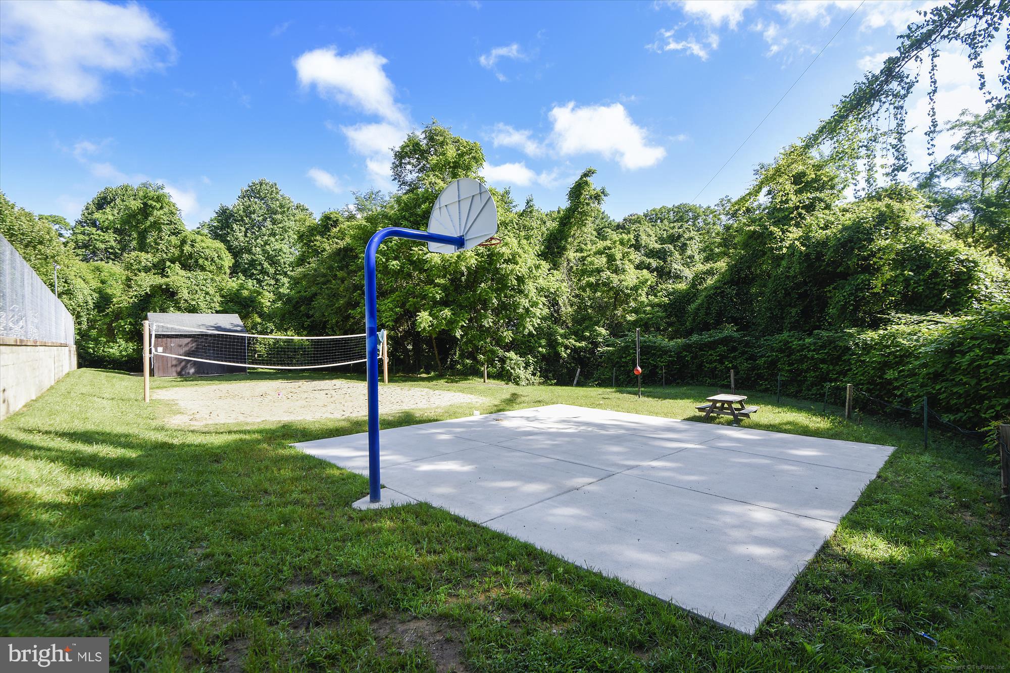 233 Farragut Road Annapolis, MD 21401 - Photo 32 of 38 basketball