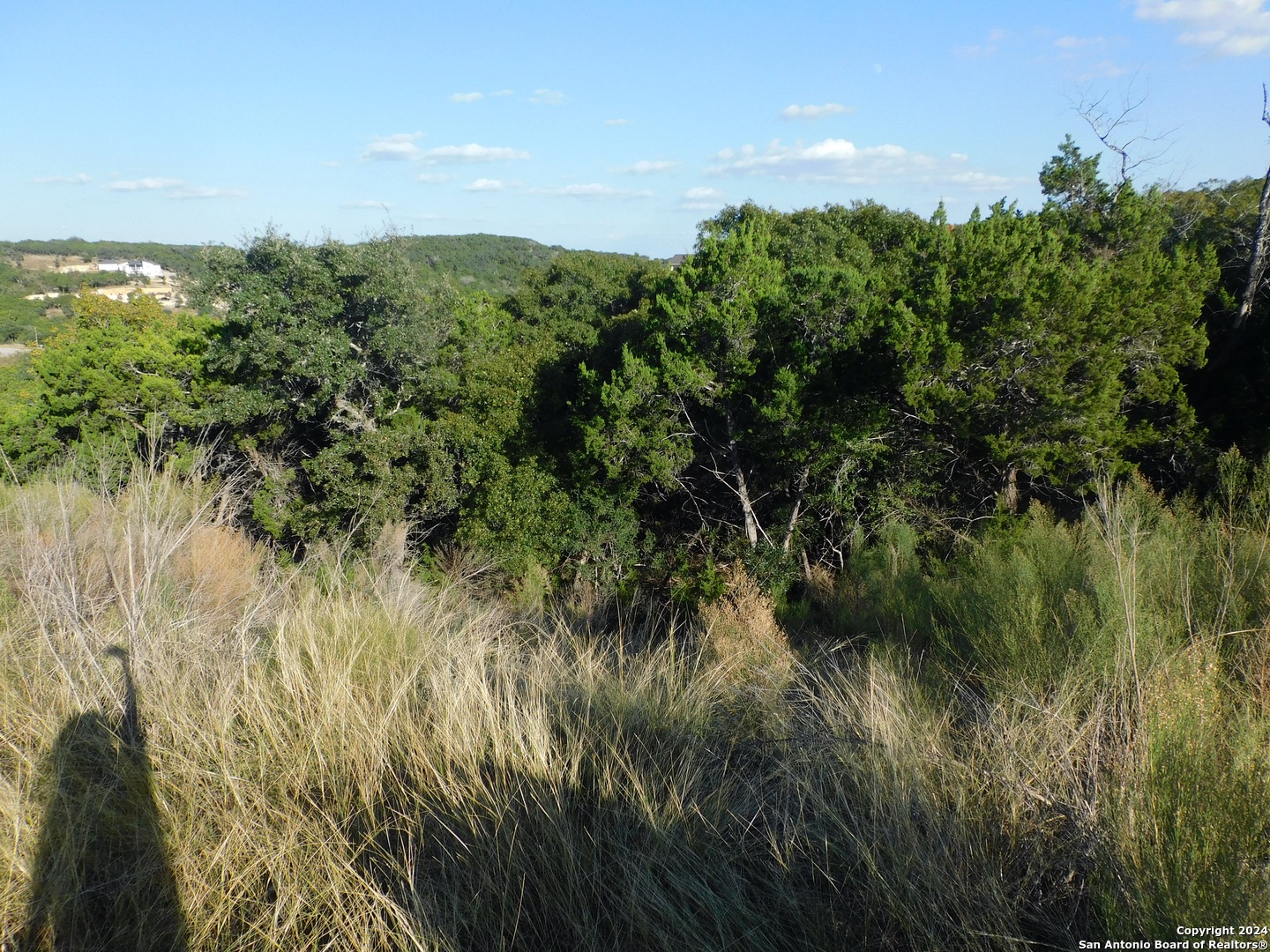 22202 Ravine San Antonio, TX 78255 - Photo 6 of 17 a view of a garden with a tree