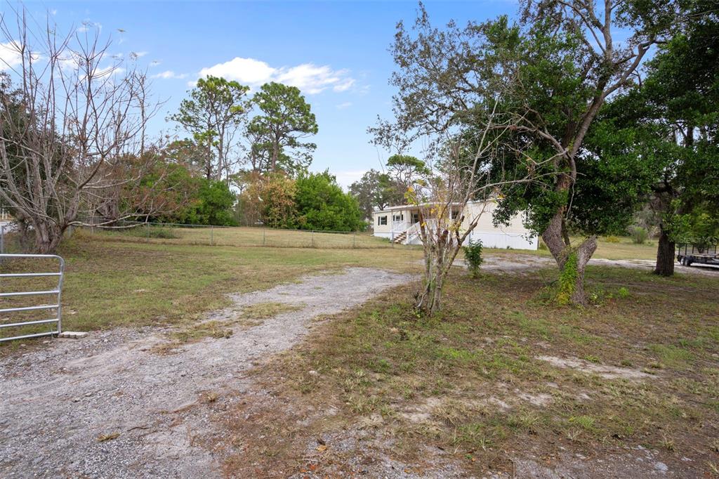 18008 Greensboro Street Spring Hill, FL 34610 - Photo 6 of 49 a view of outdoor space with trees