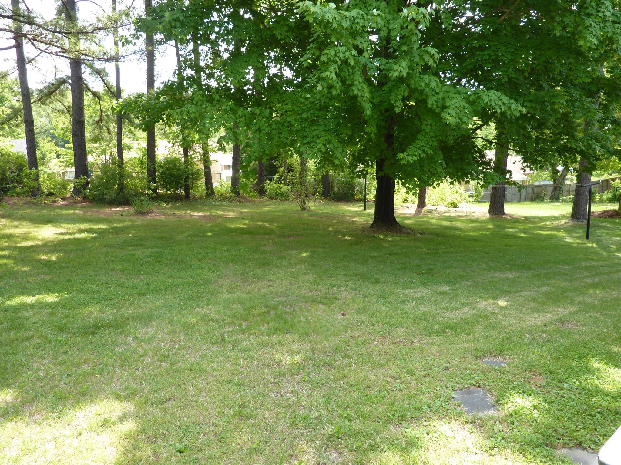 2433 Bermuda Road Northwest Roanoke, VA 24017 - Photo 4 of 15 Great Back Yard