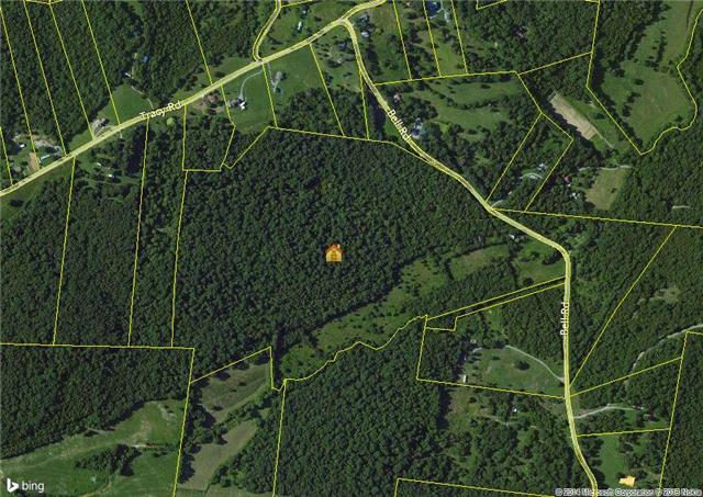 2490 Bell Road Watertown, TN 37184 - Photo 1 of 8