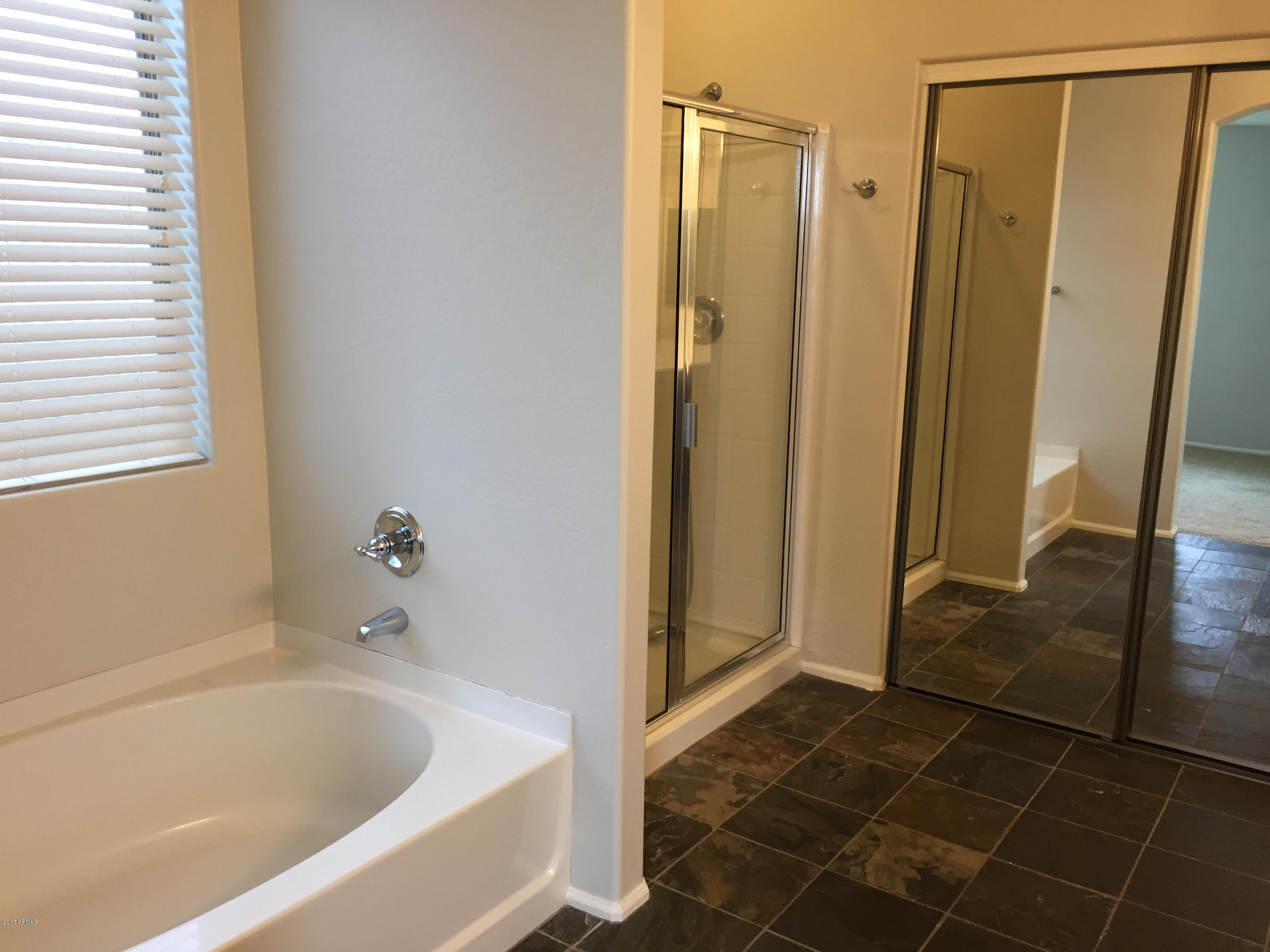 43844 Roth Road Maricopa, AZ 85138 - Photo 15 of 20 IMG_7920
