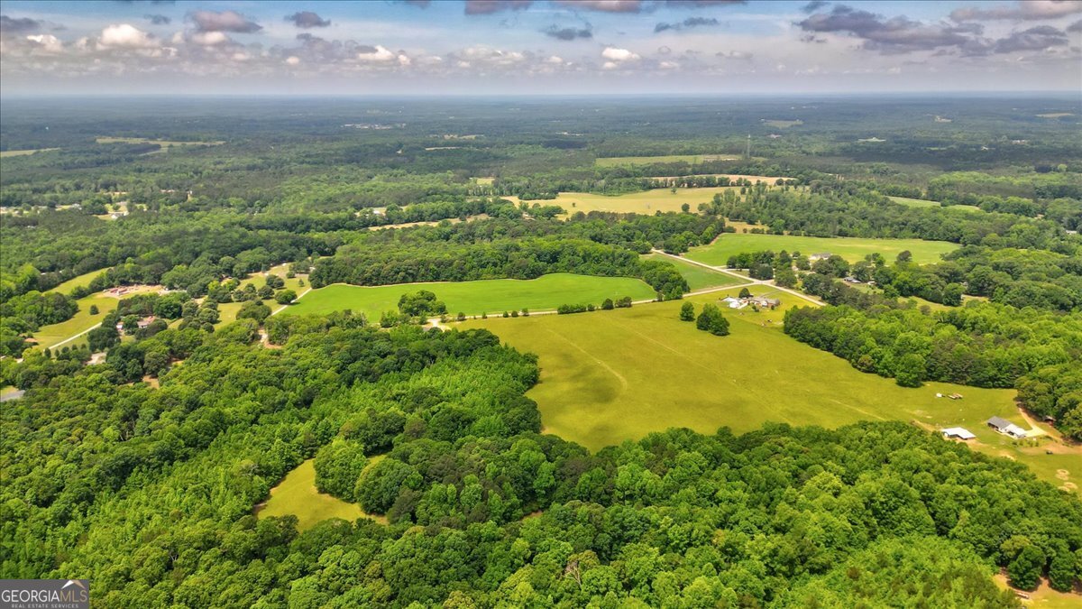 48.04-acres Caldwell Road Zebulon, GA 30295 - Photo 16 of 23 a view of an ocean and a city