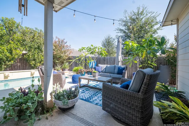 a view of a garden with potted plants