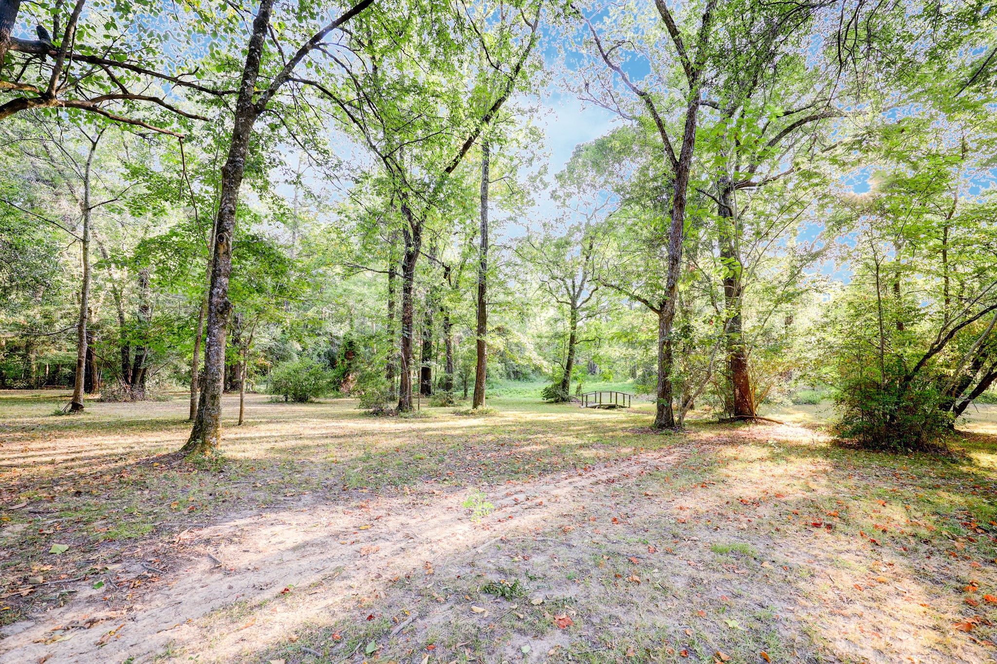 17130 Pugh Lane Conroe, TX 77306 - Photo 25 of 37 Back area from home
