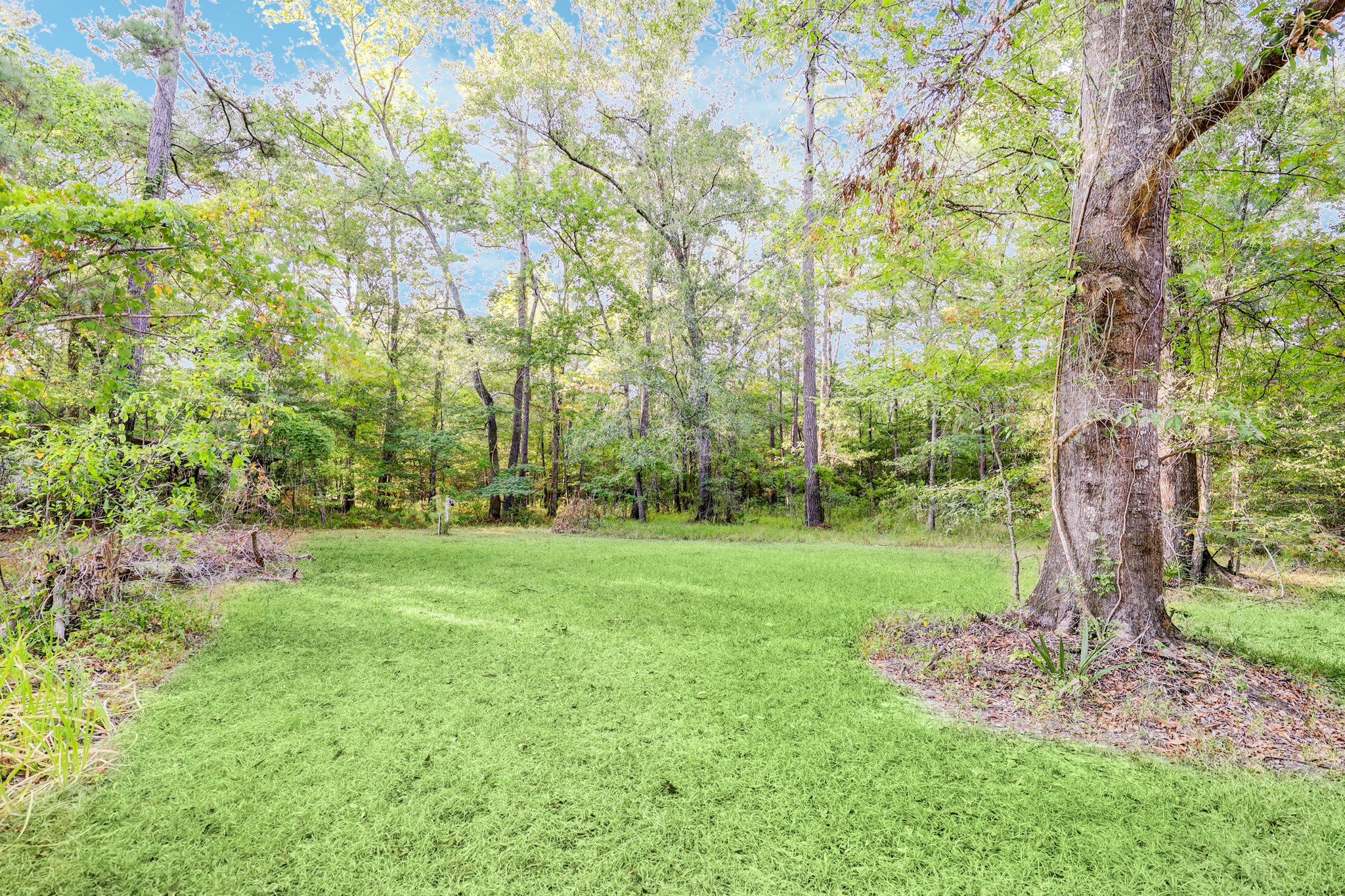 17130 Pugh Lane Conroe, TX 77306 - Photo 32 of 37