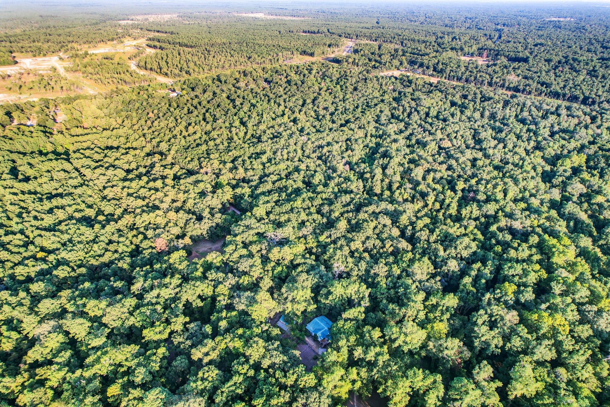 17130 Pugh Lane Conroe, TX 77306 - Photo 34 of 37 Hidden by trees