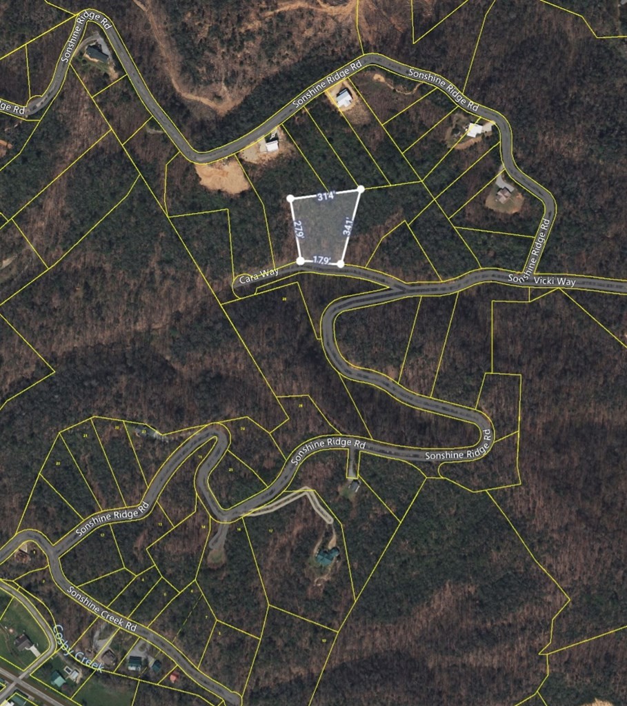 0 Cara Way Cosby, TN 37722 - Photo 9 of 13 Gallery Image 9