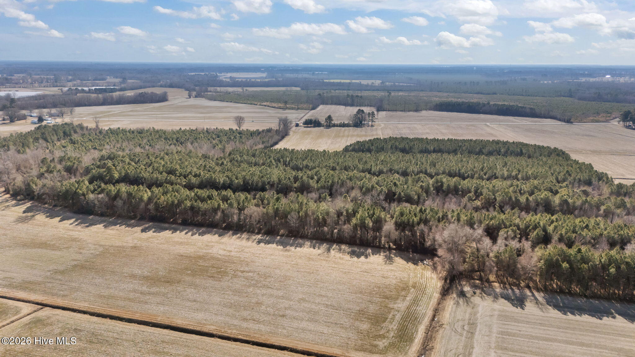 0 Grifton Hugo Road Grifton, NC 28530 - Photo 8 of 14 7-web-or-mls-DJI_20260121130413_0531_D