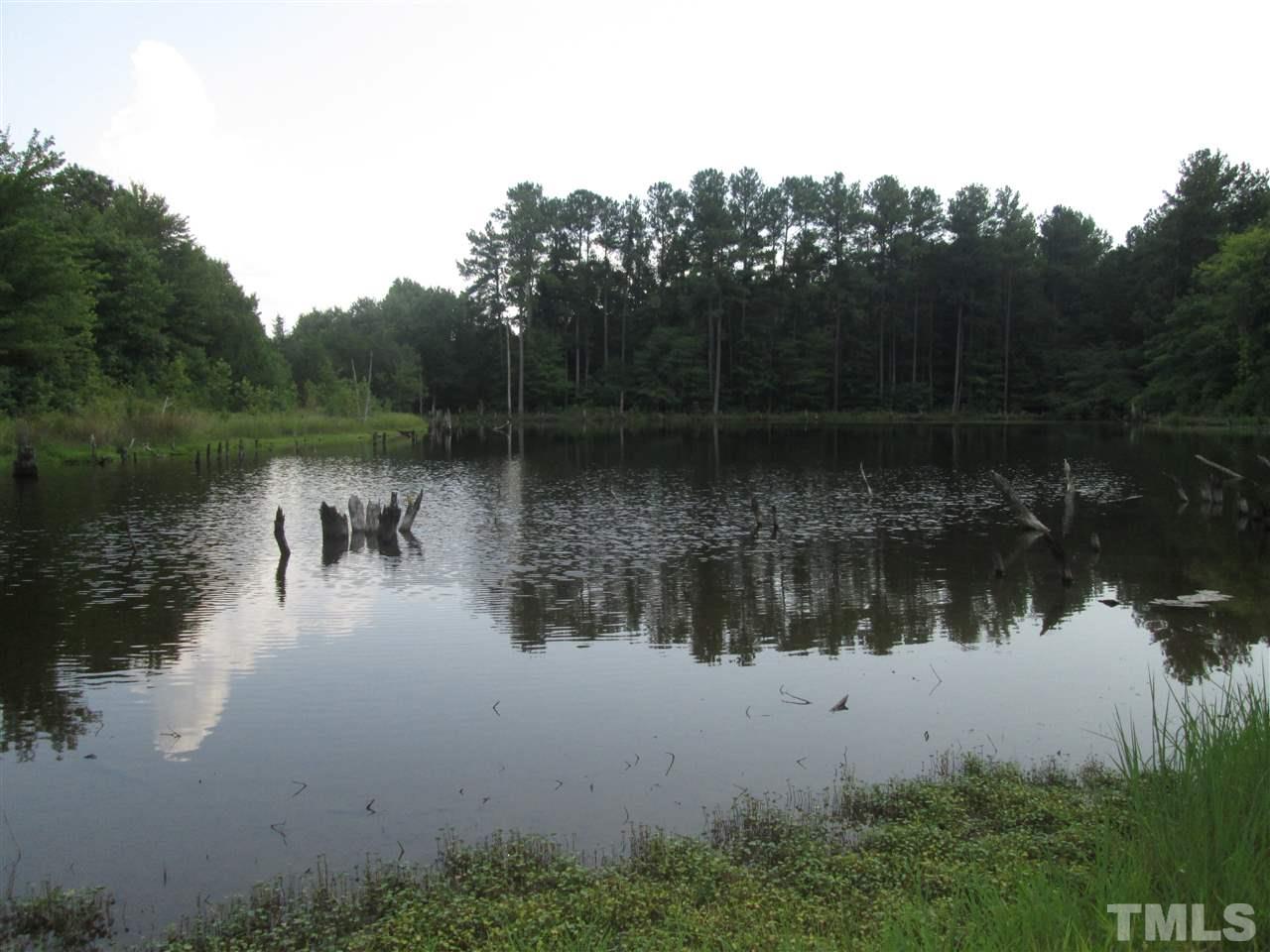 Horseshoe Road Creedmoor, NC 27522 - Photo 2 of 11 a view of lake