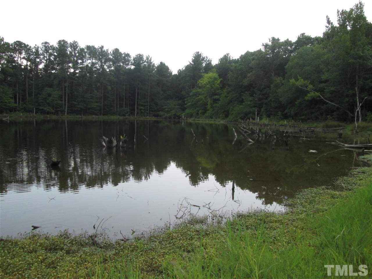 Horseshoe Road Creedmoor, NC 27522 - Photo 3 of 11 a lake view