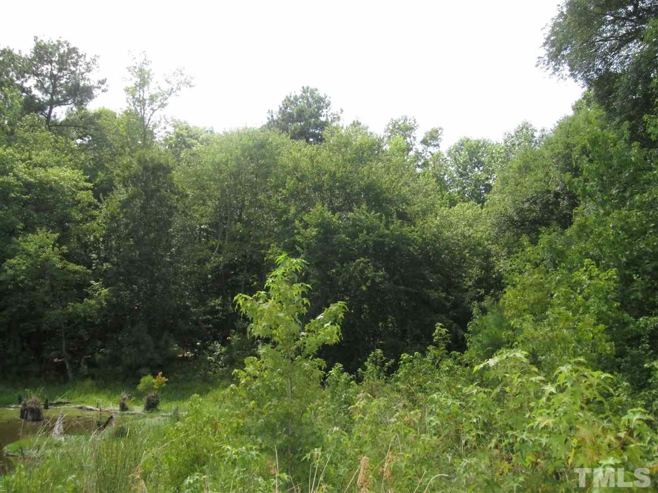 Horseshoe Road Creedmoor, NC 27522 - Photo 4 of 11 a view of a garden