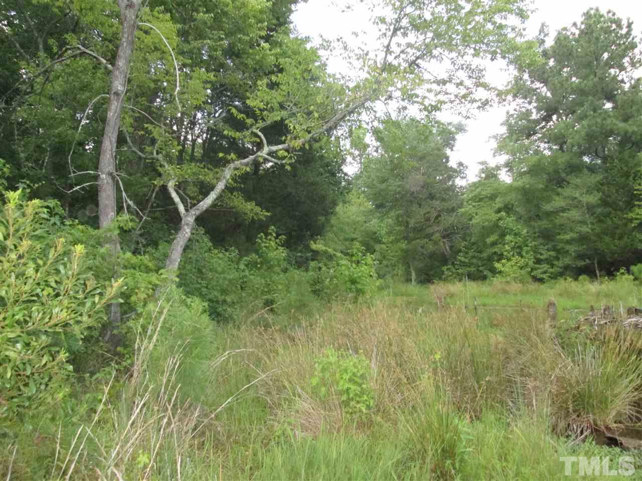 Horseshoe Road Creedmoor, NC 27522 - Photo 5 of 11 a view of a lush green space