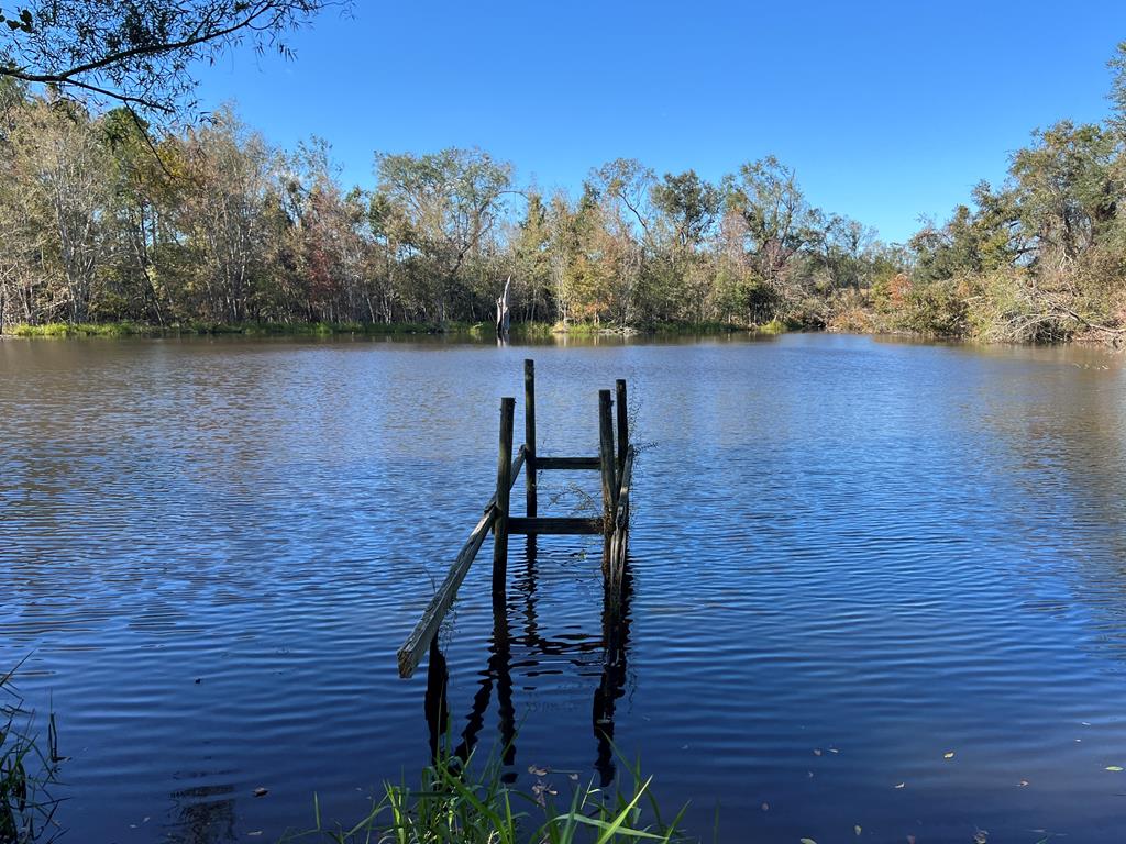 996 Dewey Road Quitman, GA 31643 - Photo 23 of 27 Gallery Image 23
