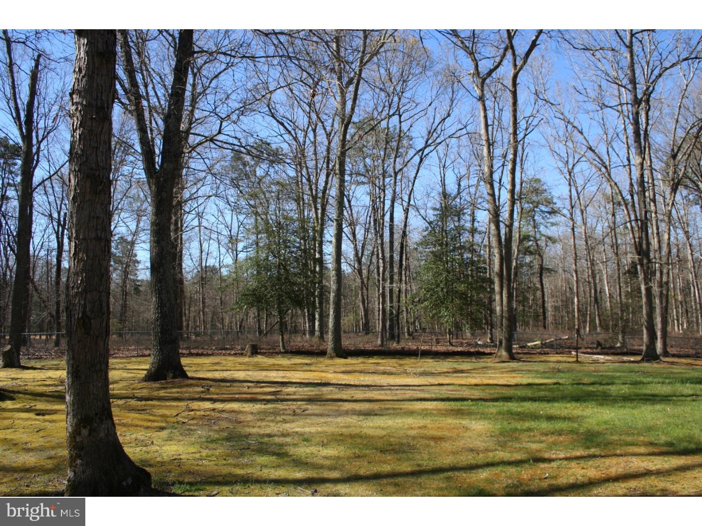 439 Upper Neck Road Elmer, NJ 08318 - Photo 20 of 21