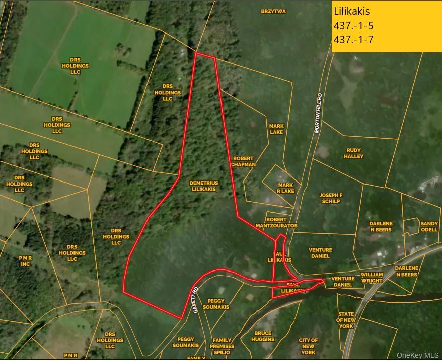 549 Gavette Road Roscoe, NY 12776 - Photo 26 of 26 Parcel Map