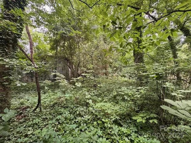 a view of a bunch of trees
