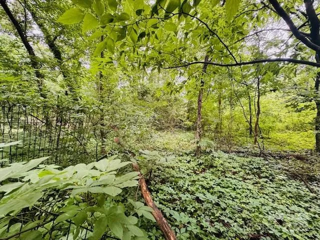 a view of dirt yard with large trees
