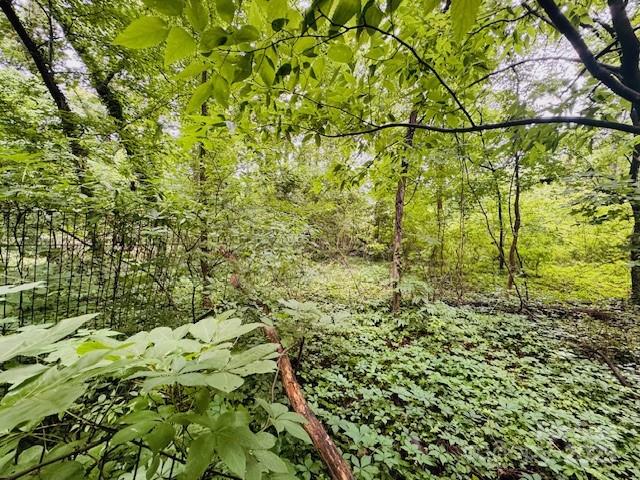 2015 C Avenue Charlotte, NC 28216 - Photo 13 of 25 a view of a bunch of trees