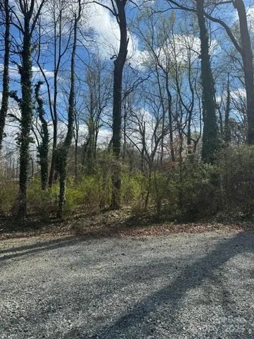 a view of a yard with a trees