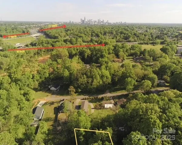 a view of a yard with a large tree