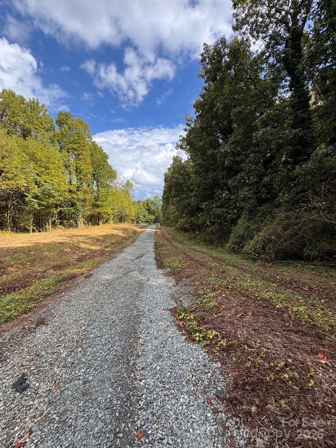 2015 C Avenue Charlotte, NC 28216 - Photo 8 of 25 a view of a yard with a large tree