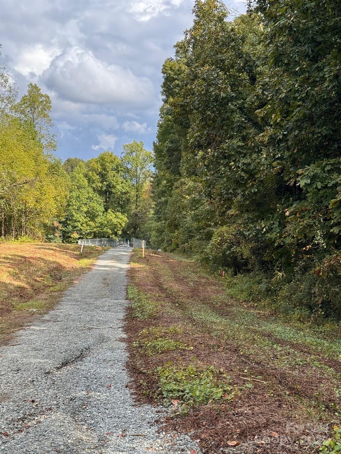 2015 C Avenue Charlotte, NC 28216 - Photo 9 of 25 a view of a yard with an trees