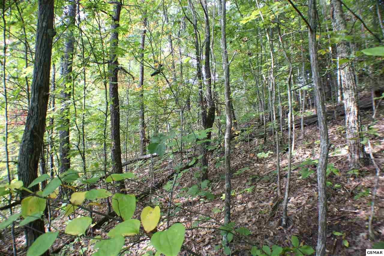 0 Shell Mountain Road Sevierville, TN 37876 - Photo 23 of 26 Gallery Image 23