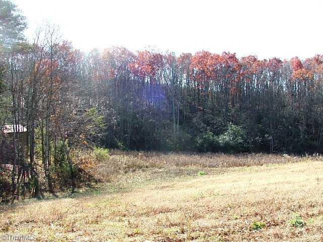 2 Shoals Rd Shoals Pinnacle, NC 27043 - Photo 3 of 6 Land. BEAUTIFUL SLOPING LONG RIDGE IS THE BACK SIDE. FIELD NOT INCLUDED