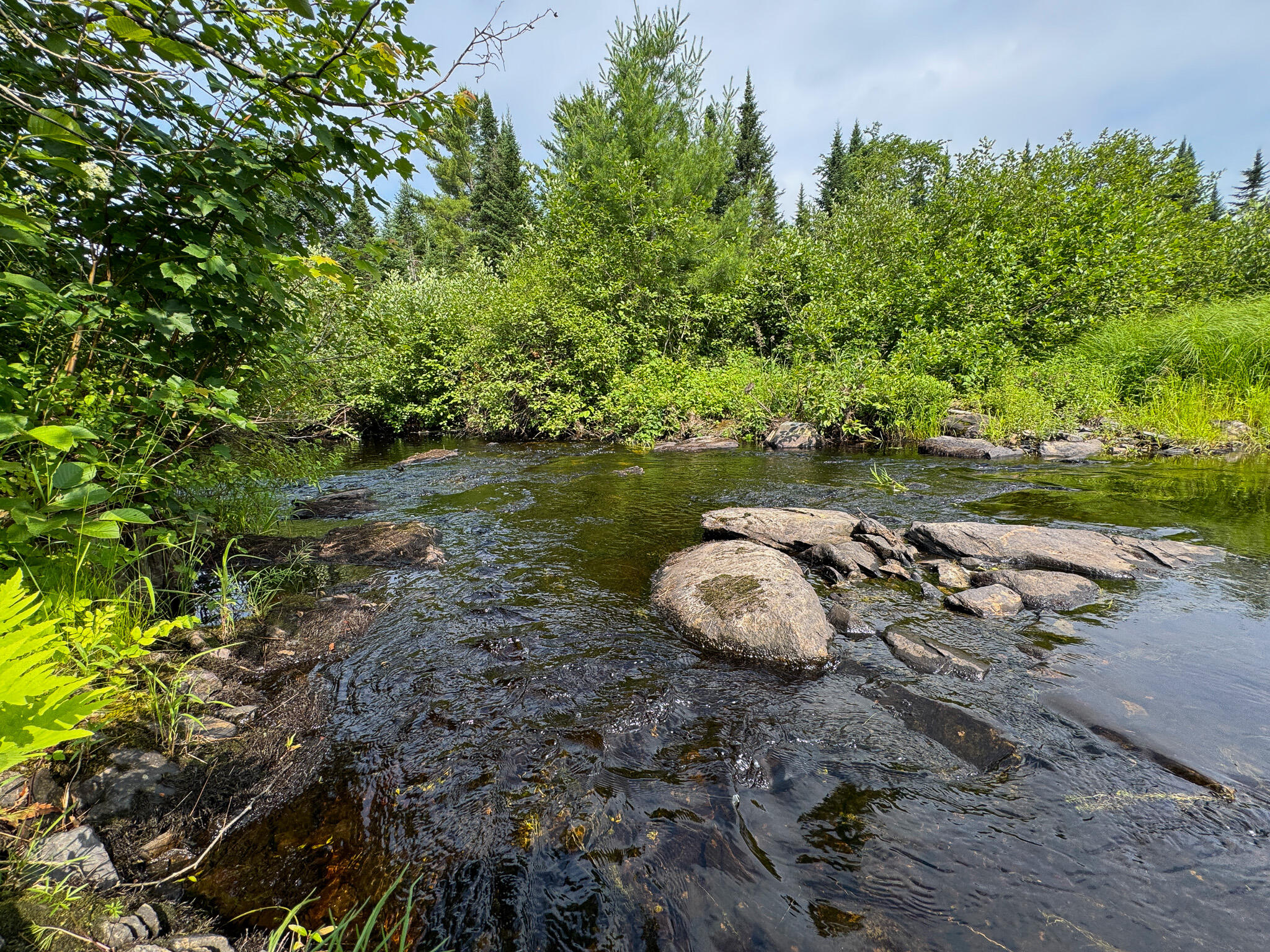 Lot 38.1 Chipper Road Kingman, ME 04451 - Photo 16 of 19 16