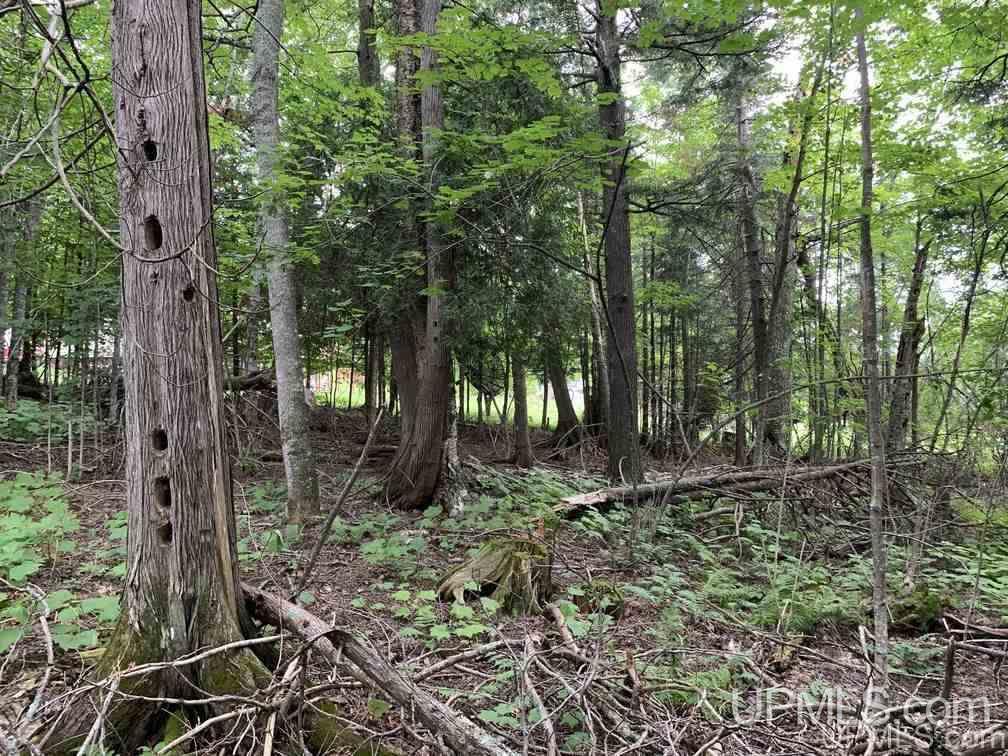 Lot 1 Bayview Road Lanse, MI 49946 - Photo 21 of 27