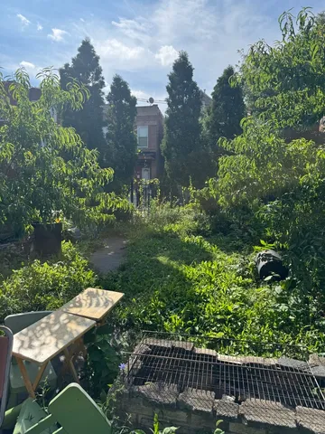 a view of backyard with green space