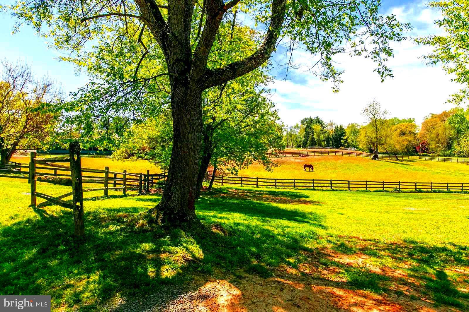 7 Jefferson Run Road Great Falls, VA 22066 - Photo 24 of 34 A truly great community you never want to leave!